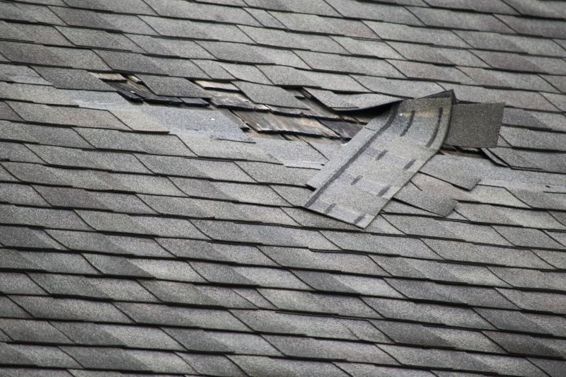 Roof Patch Repair